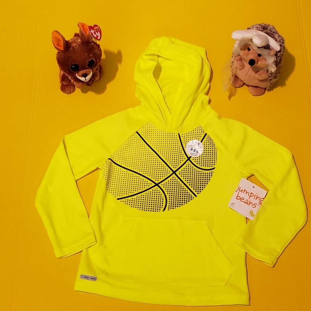 Boys hoodie (sz 4T)